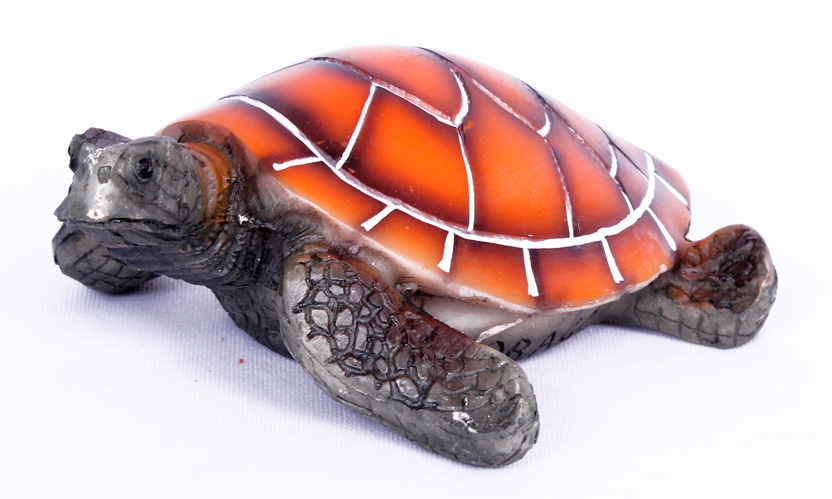 Orange Turtle