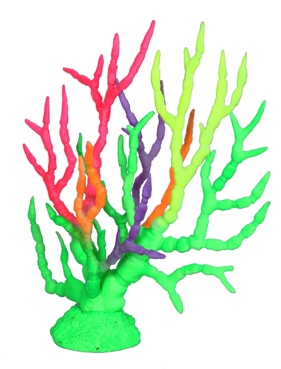 COLOURFUL CORAL GLOW IN THE DARK